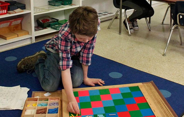 How We Holistically Support Your Child Aspect Ratio 738 469