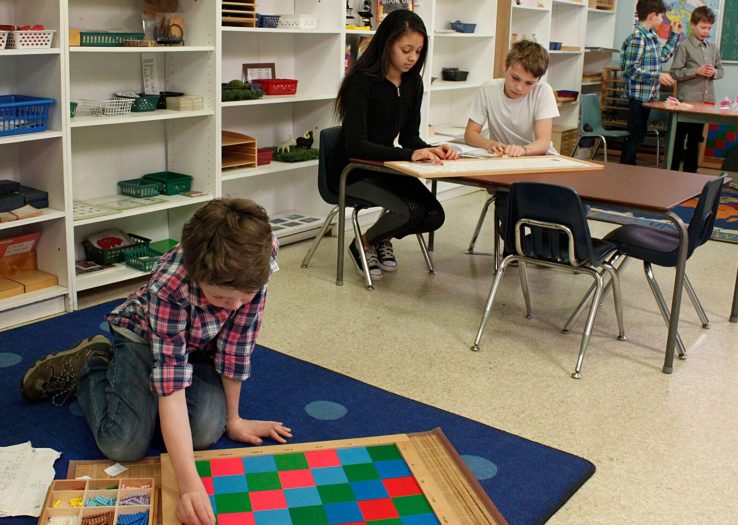 How We Holistically Support Your Child Aspect Ratio 738 525